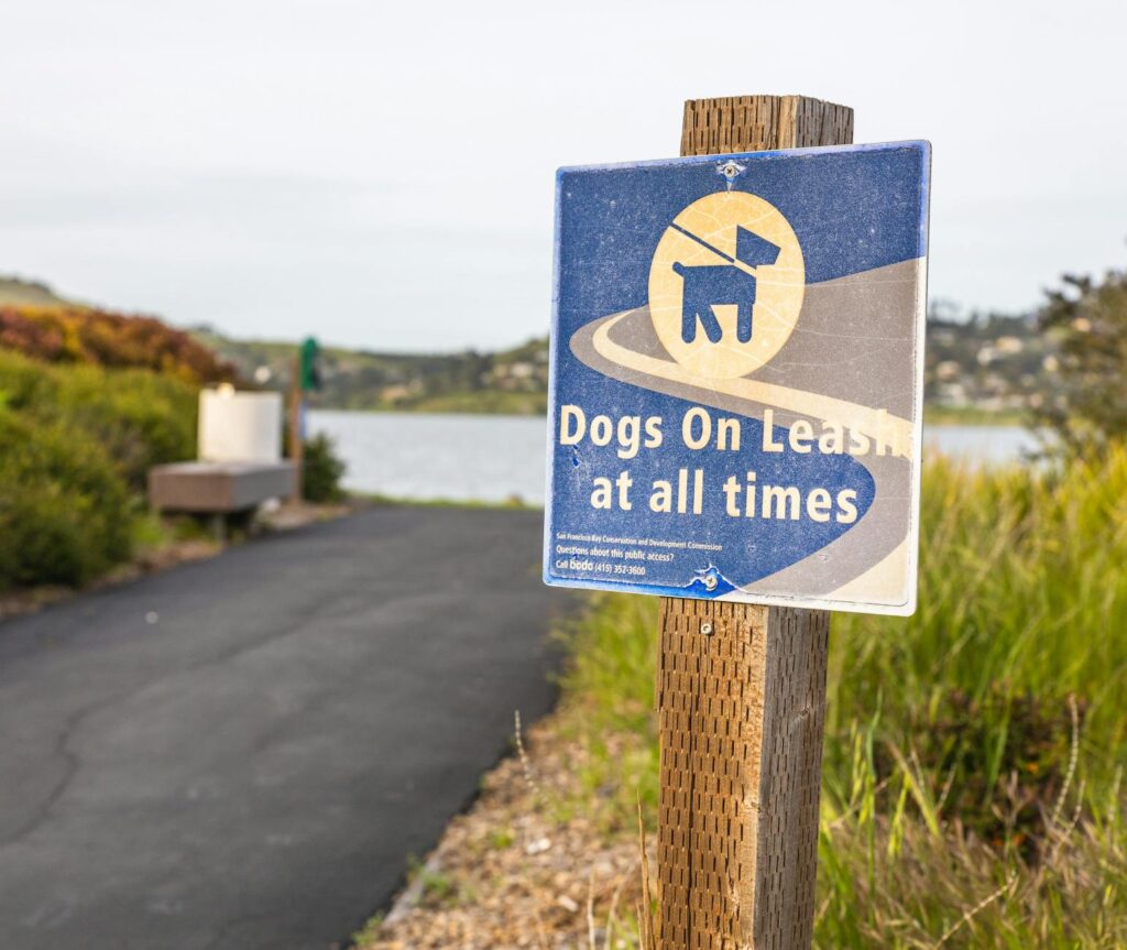 A photo of a dog in a park with a warning sign about leash laws, emphasizing responsible dog ownership. — file a dog bit…