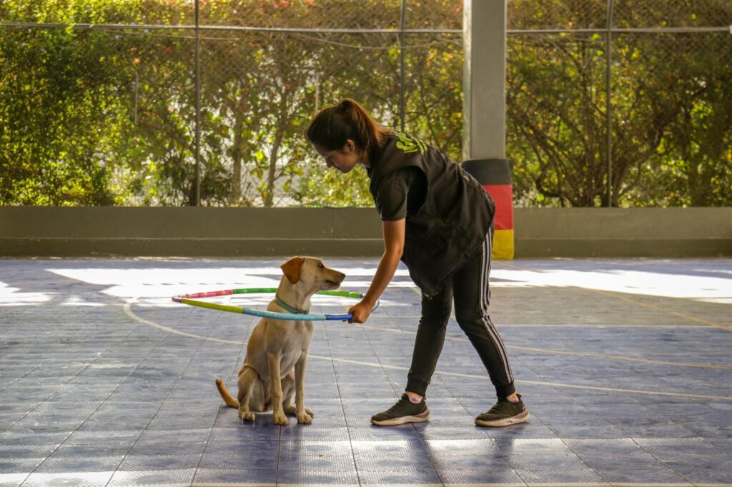 Image of a dog training session focusing on socialization — dog bite statistics 2026
