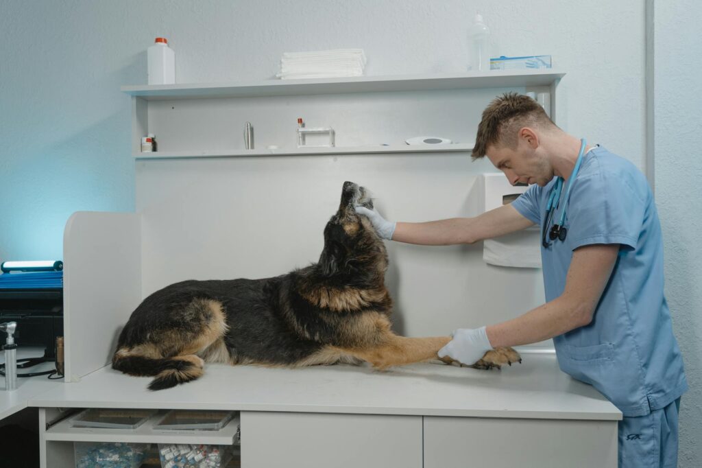 Image showing a doctor examining a patient with dog bite injuries. — medical documentation dog bites