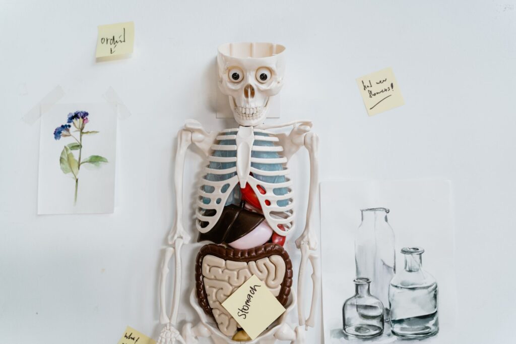 Visual representation of a case study involving medical records in an injury claim. — medical records injury claim