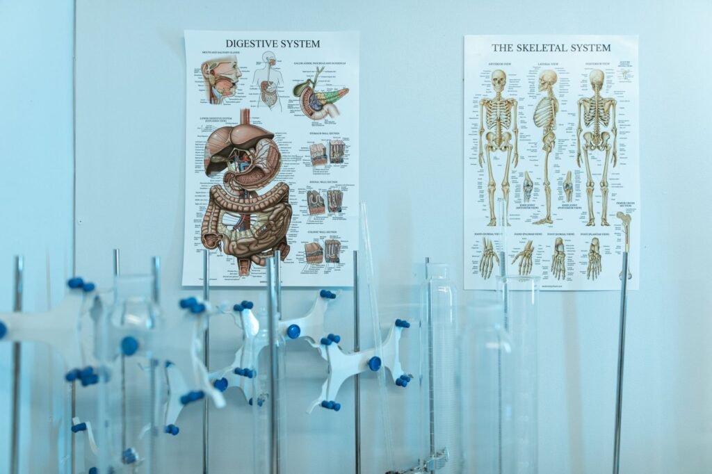 A diagram illustrating the importance of medical evidence in injury claims. — mistakes in injury claims